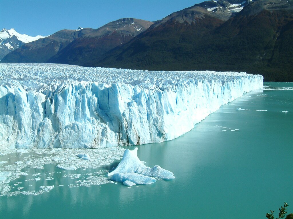 Calafate Perito Moreno