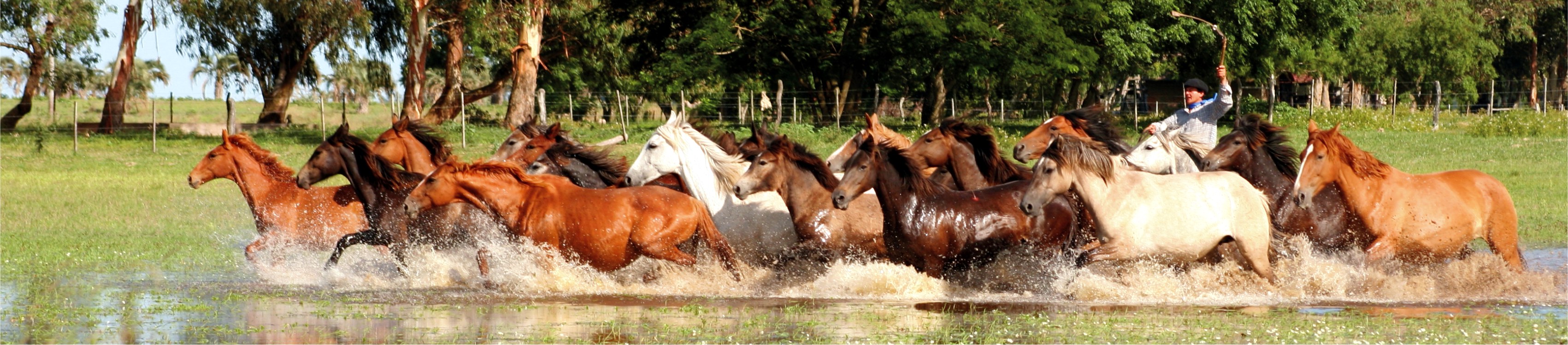 Estancia La Candelaria