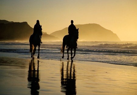 Cabalgata romántica por la playa