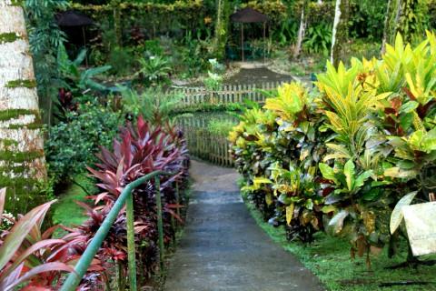Guadalupe - City Tour por Basse Terre