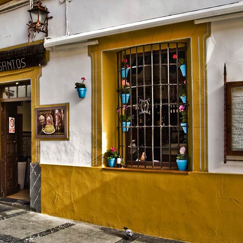 Córdoba - Almuerzo en la taberna Bar Santos