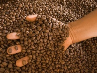 Bogotá - Tour experiencia del café